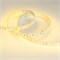 Лента RT 2-5000 24V Yellow 2x2 (3528, 1200 LED, LUX) (Arlight, 19.2 Вт/м, IP20) 008774 - фото 139806