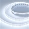 Лента RT-A320-15mm 24V White6000 (24 W/m, IP20, 2835, 5m) (Arlight, высок.эфф.150 лм/Вт) 032600(2) - фото 139821