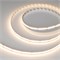 Лента CSP-X840-12mm 24V RGBW-Warm (17.2 W/m, IP20, 5m) (Arlight, 5 лет) 046937 - фото 139867
