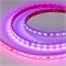 Лента герметичная SPI-PS-B60-12mm 24V RGB-PX6-BPT (12 W/m, IP67, 5060, 5m) (Arlight, бегущий огонь) 039181 - фото 140255