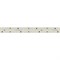 Лента S2-2500 24V White 6000K 15mm (2835, 280 LED/m, LUX) (Arlight, 20 Вт/м, IP20) 023399(1) - фото 140881