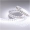 Лента RT 2-4700 24V White6000 20mm (2835, 140 LED/m, LUX) (Arlight, 21.6 Вт/м, IP20) 028111 - фото 141072