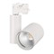 Светильник LGD-SHOP-4TR-R100-40W Warm SP3000-Fruit (WH, 24 deg) (Arlight, IP20 Металл, 3 года) 026289 - фото 141247