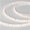Лента MICROLED-5000 24V White-CDW 4.5mm (2216, 240 LED/m, Bipolar) (Arlight, 9.6 Вт/м, IP20) 024506 - фото 141269
