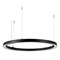 Светильник SP-CIRCLE-HANG-O3535-D1200-75W Warm3000 (RAL9005, 120 deg, 230V) IP40 LED (Arlight, Алюминий) 049372 - фото 141334