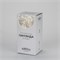 Светодиодная гирлянда ARD-CURTAIN-HOME-1500x1500-CLEAR-144LED White (230V, 6W) (Ardecoled, IP20) 024829 - фото 141985