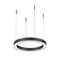Светильник SP-LINE-HANG-ARC-O3535-D350-35W Day4000 (BLACK, 230V) (Arlight, Металл) 037884 - фото 143036