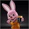 Батарейки DURACELL 2CR5 BL1  (блистер 1шт) 5000394245105 - фото 144489