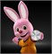 Элемент питания DURACELL CR2430 BL2 (блистер 2шт) 5000394152090 - фото 146282
