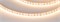 Лента FC-A120-8mm 24V Warm2700-CX1 (5 W/m, IP20, 5m) (Arlight, резка 1 светодиод) 052928 - фото 150396