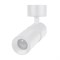 Светильник SP-ARTEMIS-SURFACE-FLAP-R55-12W Day4000 (WH, 8-80 deg, 230V) (Arlight, IP20 Металл, 5 лет) 051787 - фото 151135