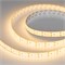 Светодиодная лента герметичная RTW-SE-A240-15mm 24V Warm3000 (19.2 W/m, IP65, 2835, 5m) (Arlight, -) 014721(2) - фото 166443