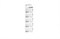 Батарейки ROBITON STANDARD R-27A-0-BL5 27A (0% Hg) BL5 14082Б - фото 20492