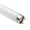 Лампа Gleecon   LT8 20W BL  L=590мм  BL  Ультрафиолет (в ловушки для насекомых) - 2000000908038 - фото 25549