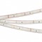 Лента RTW 2-5000PS 12V Warm2700 (3528, 300 LED, LUX) (arlight, 4.8 Вт/м, IP67) 028506 - фото 28641