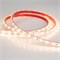 Лента RTW 2-5000P 12V Warm2700 (3528, 300 LED, LUX) (arlight, 4.8 Вт/м, IP66) 011509 - фото 31886