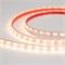 Лента RTW 2-5000P 12V Warm2700 (3528, 300 LED, LUX) (arlight, 4.8 Вт/м, IP66) 011509 - фото 31887