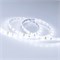 Лента RTW 2-5000SE 12V Cool (3528, 300 LED, LUX) (arlight, 4.8 Вт/м, IP65) 016836(B) - фото 31899