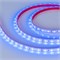 Лента RTW 2-5000P 12V Blue (3528, 300 LED, LUX) (arlight, 4.8 Вт/м, IP66) 014967 - фото 31913