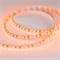 Лента RT 2-5000 12V Orange 2X (3528, 600 LED, LUX) (arlight, 9.6 Вт/м, IP20) 015902 - фото 31989