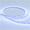 Лента RT 2-5000 12V Blue-8мм 2x (3528, 600 LED, LUX) 012330 - фото 31992