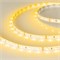 Лента RT 2-5000 12V Yellow (3528, 300 LED, LUX) 010521 - фото 32058