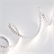Светодиодная лента RT-A120-8mm 24V Day4000 (9.6 W/m, IP20, 2835, 5m) (Arlight, Открытый) 011581(2) - фото 32105