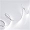 Лента RT 2-5000 24V White 6000К 2X (3528, 600 LED, LUX)) 010347(В) - фото 32123