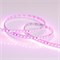 Лента RT 2-5000 24V Pink 2X (3528, 600 LED, LUX) 2000000244747 - фото 32127