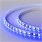 Лента RT 2-5000 24V Blue 5mm 2x (3528, 600 LED, LUX) (arlight, 9.6 Вт/м, IP20) 015660(1) - фото 32154