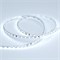 Лента RT 2-5000 24V S-Cool-5mm 2x(3528,600LED,LUX) 2000000241517 - фото 32170