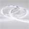Лента RT6-3528-180 24V White6000 3x (900 LED) (arlight, 14.4 Вт/м, IP20) 017429 - фото 32189