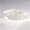 Лента RT 2-5000 24V Day White2x2(3528,1200 LED,LUX 013474 - фото 32192