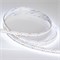 Лента RT6-3528-240 24V White6000 4x (1200 LED) (arlight, 19.2 Вт/м, IP20) 017430 - фото 32232