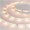 Лента RT 2-5000 0.5X 24V Warm2700 (3528, 150 LED, LUX) 019919 - фото 32240