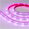 Лента RTW 2-5000P 12V RGB (5060, 150 LED, LUX) (arlight, 7.2 Вт/м, IP66) 014964 - фото 32441