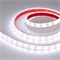 Лента RTW 2-5000PGS 12V White 2x (5060, 300 LED, LUX) (arlight, 14.4 Вт/м, IP67) 012389 - фото 32456