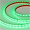 Лента RTW 2-5000PS 24V RGB 2x (5060, 300 LED, LUX) (arlight, 14.4 Вт/м, IP67) 021400 - фото 32468