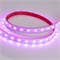 Лента RTW 2-5000P 24V RGB 2x (5060, 300 LED, LUX) (arlight, 14.4 Вт/м, IP66) 010366 - фото 32530