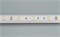 Лента CC-5000 3A Warm (5060, 150 LED, EXP) (arlight, 6 Вт/м, IP20) 016393 - фото 32619