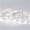 Лента RT 2-5000 12V Day4000 (5060, 150 LED, LUX) (ARL, 7.2 Вт/м, IP20) 011570 (B) - фото 32671