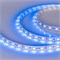 Лента RT 2-5000 12V Blue 2X (5060, 300 LED, LUX) 2000000242835 - фото 32727