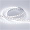Лента RT 2-5000 12V Cx1 White 2X (5060, 360 LED,W) 2000000243634 - фото 32746