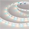 Лента RT6-5050-60 24V RGB-Warm 2x (300 LED) (arlight, 14.4 Вт/м, IP20) 018327 - фото 32830