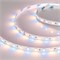Лента RT6-5050-60 24V RGB-Warm 2x (300 LED) (arlight, 14.4 Вт/м, IP20) 018327 - фото 32834