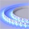 Лента RT 2-5000 24V Blue 2X (5060, 300 LED, LUX) 2000000242224 - фото 32861