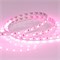 Лента RT 2-5000 24V Pink 2X (5060, 300 LED, LUX) 2000000244211 - фото 32869