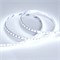 Лента RT 6-5050-96 24V Cool 10K 3x (480 LED) (arlight, 23 Вт/м, IP20) 018731 - фото 32879