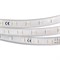 Лента ARL-W5060PG-54-220V Green (540 LED, 10m) 020453 - фото 32894