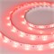 Лента RTW 2-5000SE 24V RGB (5060, 150 LED, LUX) (arlight, 7.2 Вт/м, IP65) 021732 - фото 32911